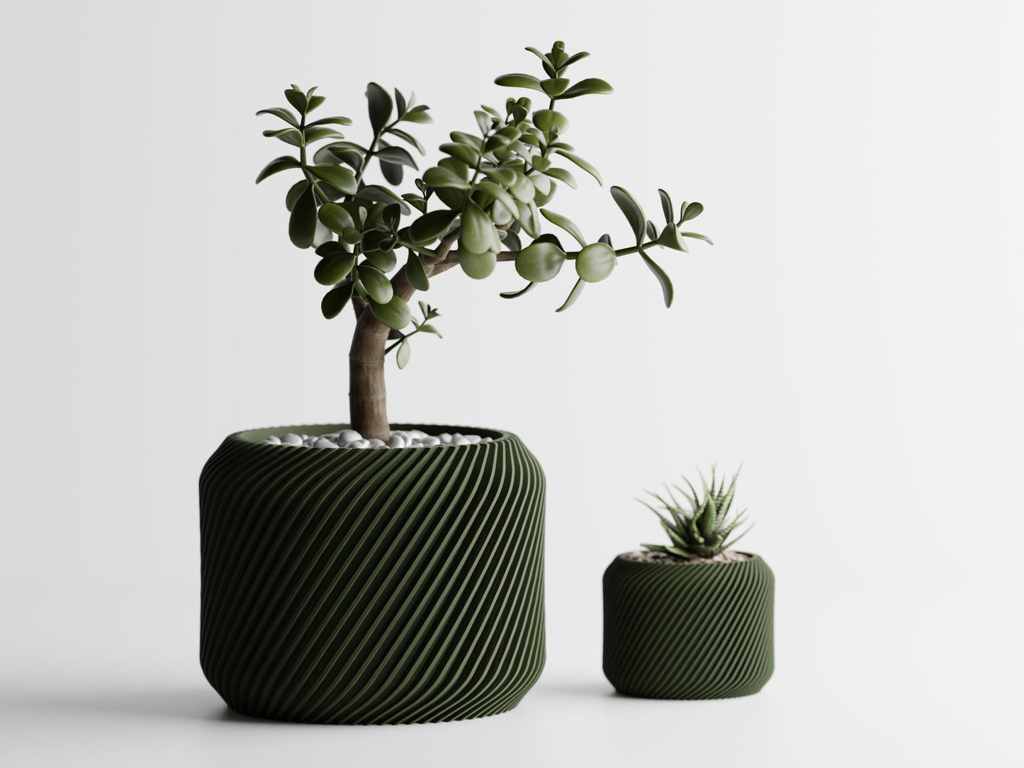 Biggie Bloom - A Planter with dynamic twisted design