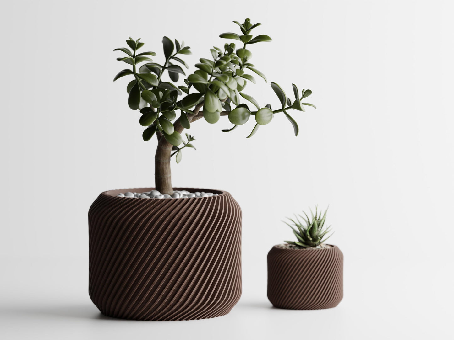Biggie Bloom - A Planter with dynamic twisted design